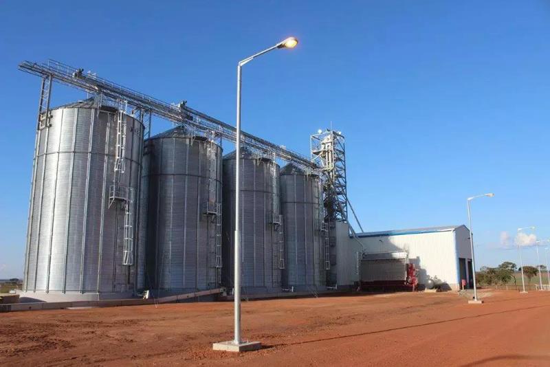 Angolan teräsrakenne Maissi kasvi